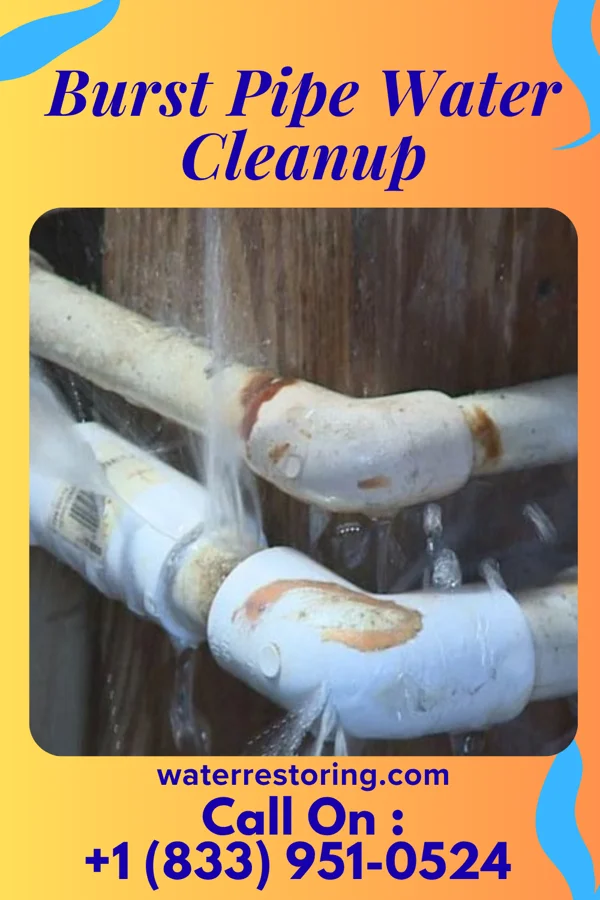Burst Pipe Water Cleanup in East Kingston, NY