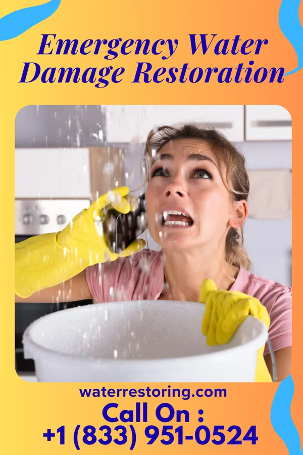 Emergency Water Damage Restoration in East Kingston, NY