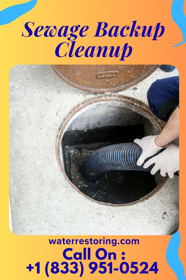 Sewage Backup Cleanup in East Kingston, NY