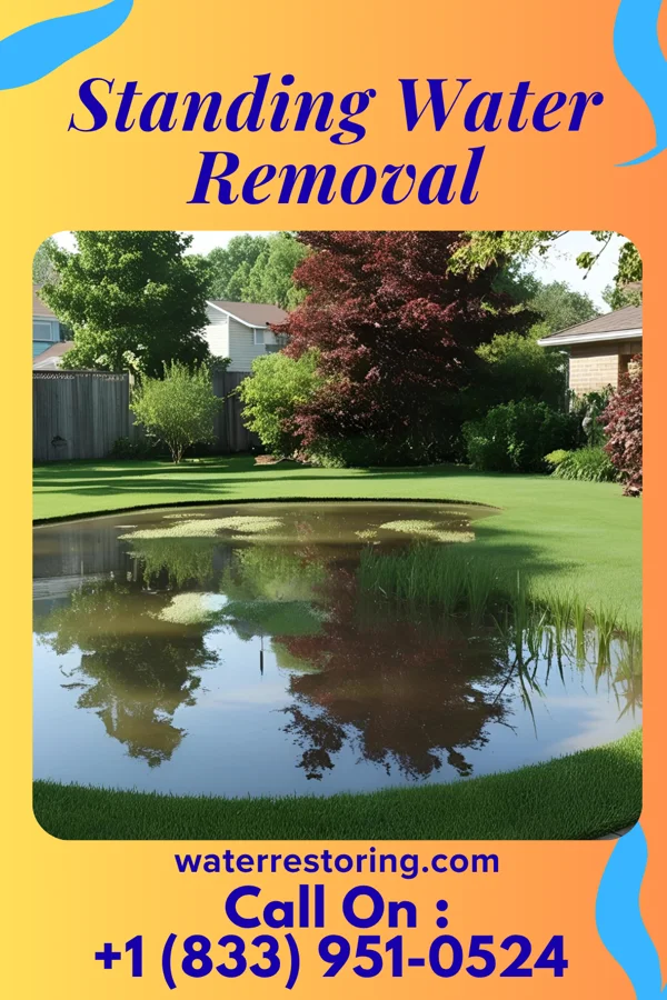 Standing Water Removal in East Kingston, NY